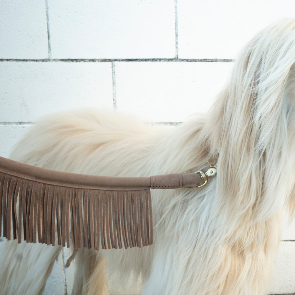 Fringe Leash