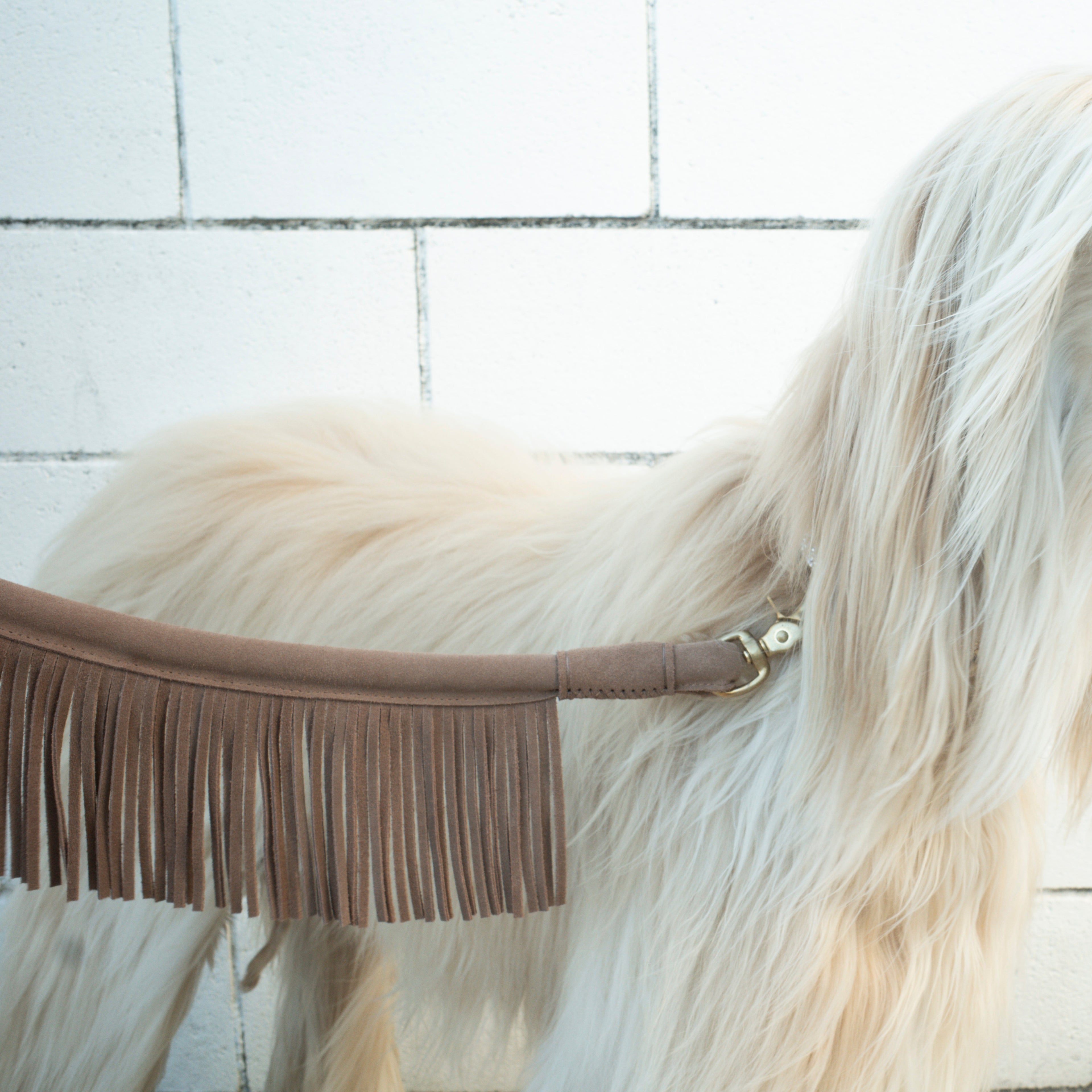 Fringe Leash
