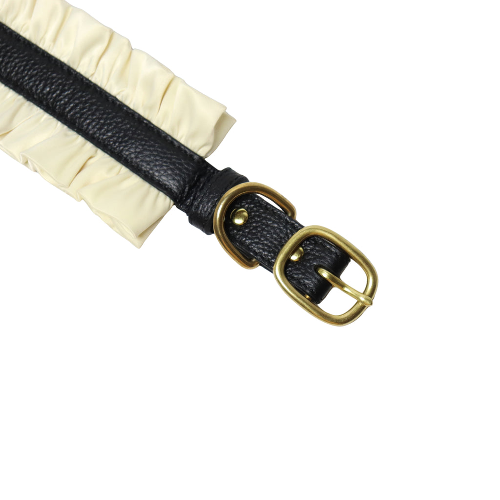 Victorian Dog Collar